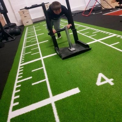 Wysokiej gęstości logo dostosowane do rozmiaru gimnastyki Akcesoria PE Gym Sztuczna podłoga trawy dla sportu