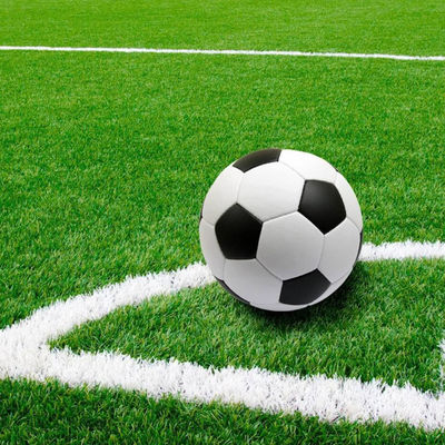 16.5 Prędkość szycia Mini boisko piłkarskie Trawa sztuczna do siłowni Podłoga sportowa na zewnątrz