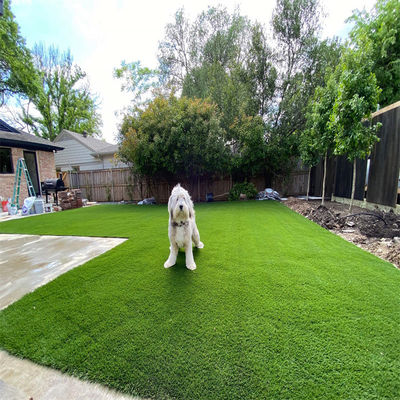 Podłoga do ogrodów sportowych Sztuczna trawnika sztuczna Trawnik krajobrazowy Grass Carpet Roll 40mm Czarny Zielony kolor