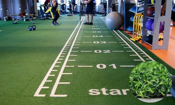 Wysoka gęstość 63000 szwów/m2 Niestandardowa trawa gimnastyczna do treningu sportowego na podłodze i saniach