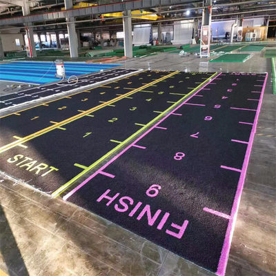 50 mm boisko do krykieta Sztuczna trawa do futsu Fitness Gym Soccer Stadion piłki nożnej