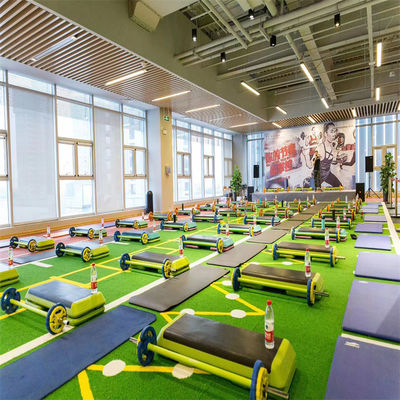 Fitness Gym Sztuczna trawa podłoga sportowa dla futbolowej trawy Dorelom Non Infill