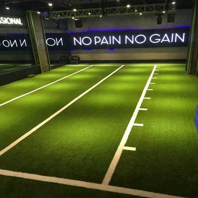 EN14904 Certyfikowane podłogi sportowe na sztuczną trawę do użytku wewnętrznego o gęstości 52500