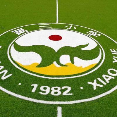 PE PP Wsparcie Sztuczna trawa Logo wzór kolorystyczny Trawa syntetyczna Mini futbolowy dywan