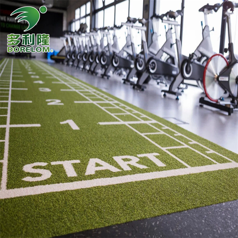 Ulepsz swoje ćwiczenia z Dorelom Green sztucznej trawy Gym podłogi Mat i ścieżki sankowej